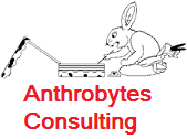 Anthrobytes Consulting